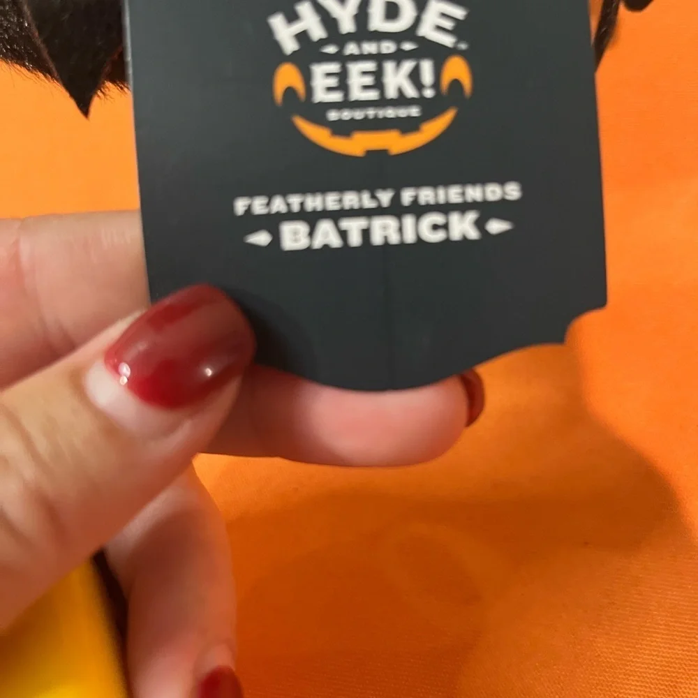 6/$25 Batrick Festive Black and Green Bat Decor